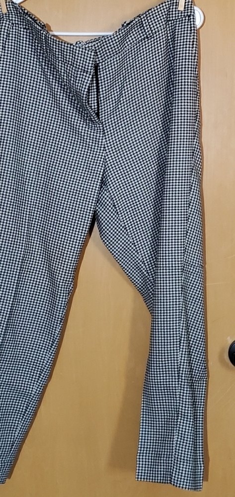 Dress Pants